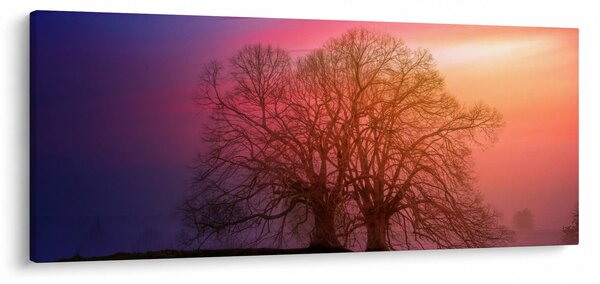 Slika drveća u magli (120x50 cm)
