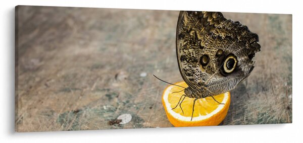 Slika leptira (120x50 cm)