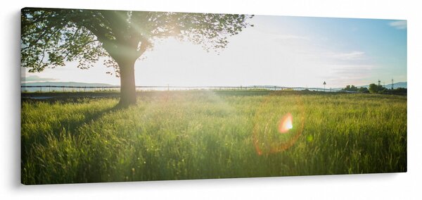 Slika ljetne livade (120x50 cm)