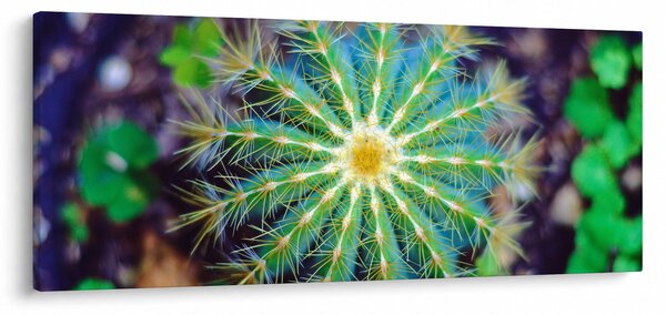 Slika kaktusa (120x50 cm)
