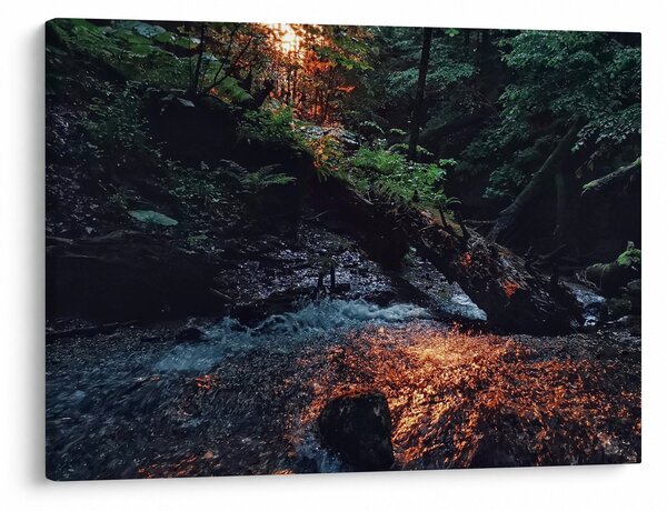 Slika planinskog potoka (70x50 cm)