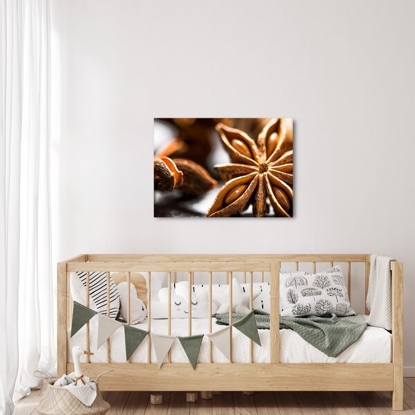Slika - Anis (70x50 cm)