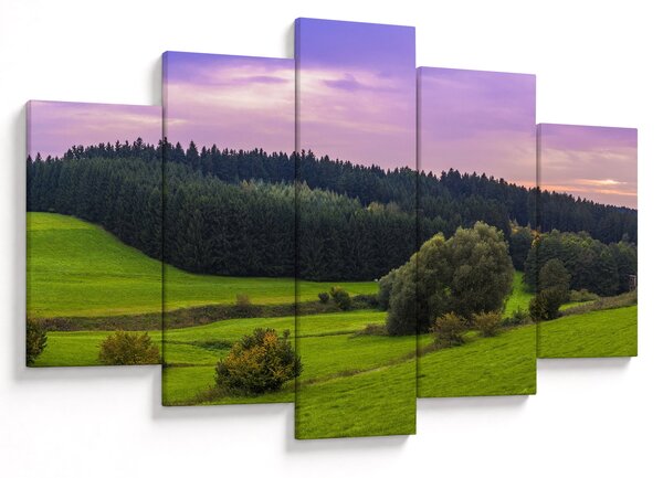 Slika livade (150x105 cm)