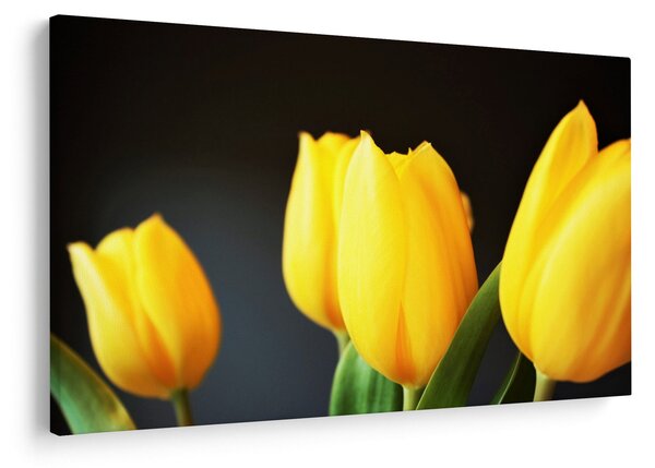 Slika tulipana (90x60 cm)