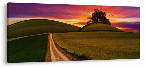 Slika polja sa zalaskom sunca (120x50 cm)