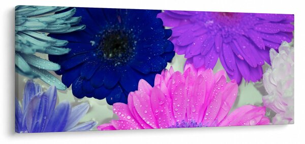Slika šarenog cvijeća (120x50 cm)