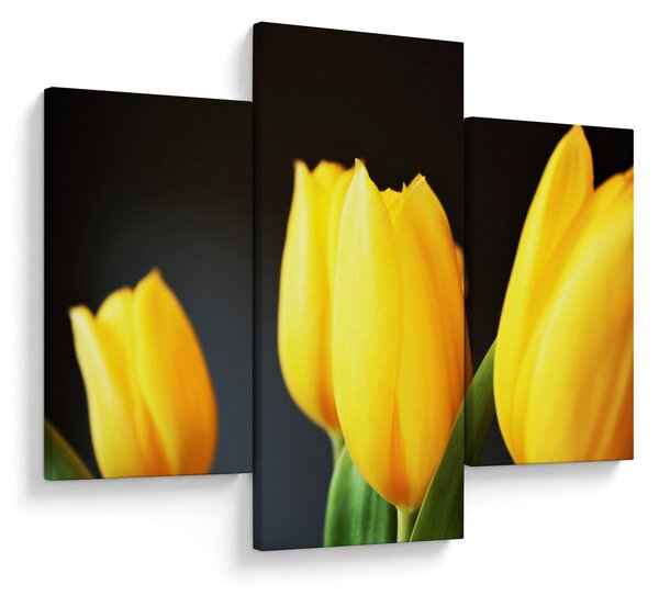 Slika tulipana (90x60 cm)