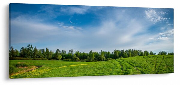 Slika livade (120x50 cm)