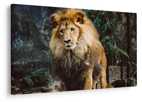Slika lava u prirodi (90x60 cm)