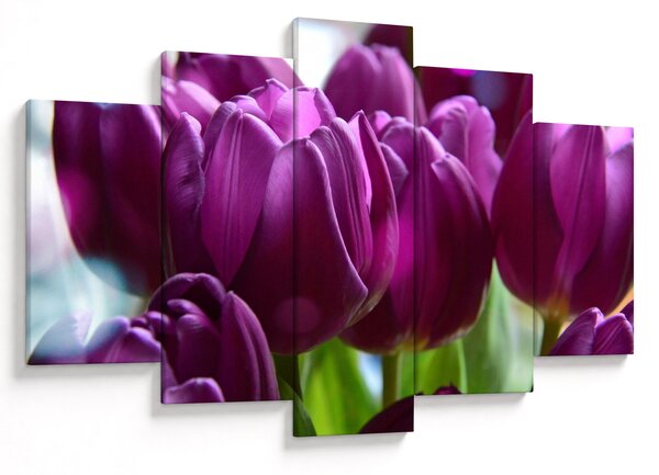 Slika tulipana (150x105 cm)