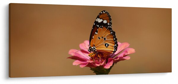 Slika leptira na cvijetu (120x50 cm)