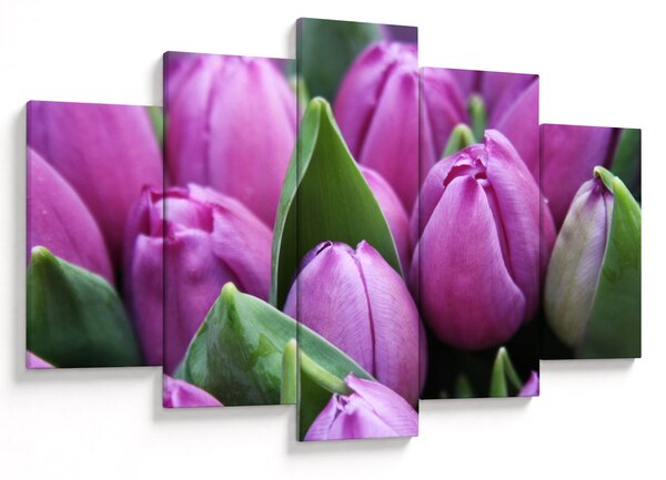 Slika - cvijeće tulipana (150x105 cm)