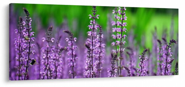 Slika ljubičastog livadskog bilja (120x50 cm)