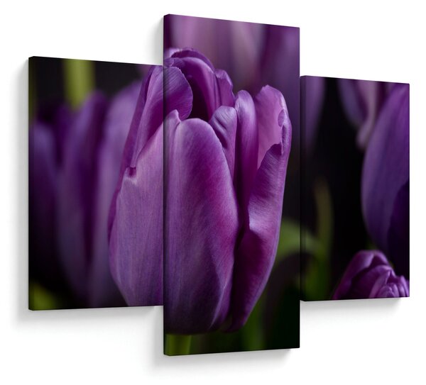 Slika cvjetova tulipana (90x60 cm)