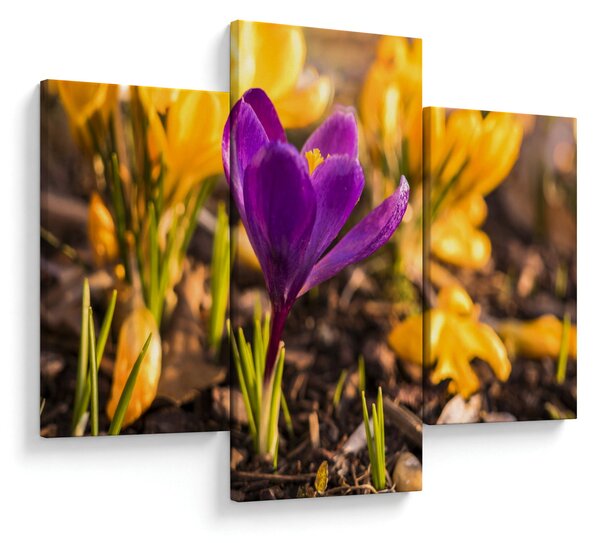 Slika ljubičastog cvijeta (90x60 cm)