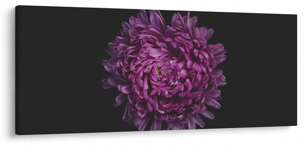 Slika ljubičastog cvijeta (120x50 cm)