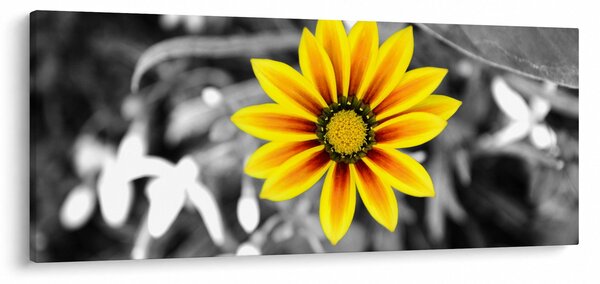 Slika žutog cvijeta (120x50 cm)