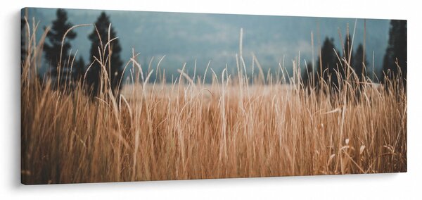 Slika - detalj livadskog bilja (120x50 cm)