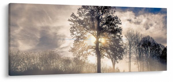 Slika drveta u magli (120x50 cm)