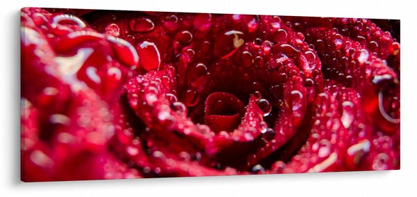 Slika cvijeta crvene ruže (120x50 cm)