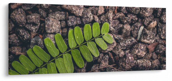 Slika zelene biljke (120x50 cm)