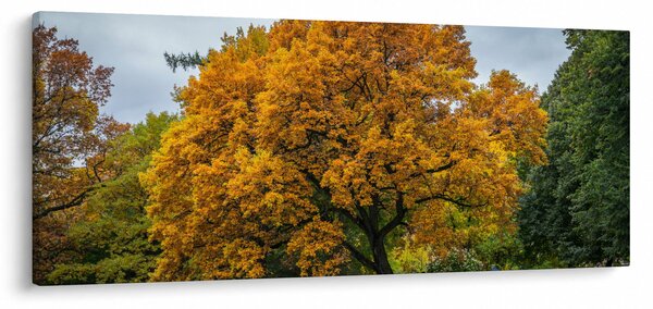 Slika stabla (120x50 cm)