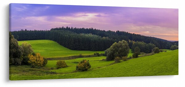 Slika livade (120x50 cm)