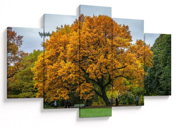 Slika stabla (150x105 cm)
