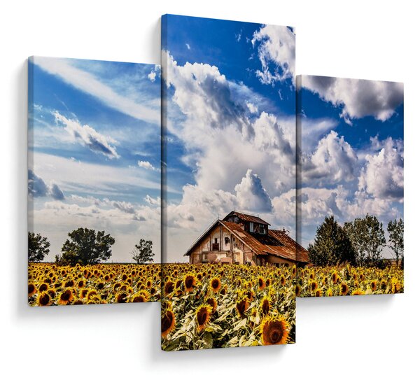 Slika polja suncokreta (90x60 cm)