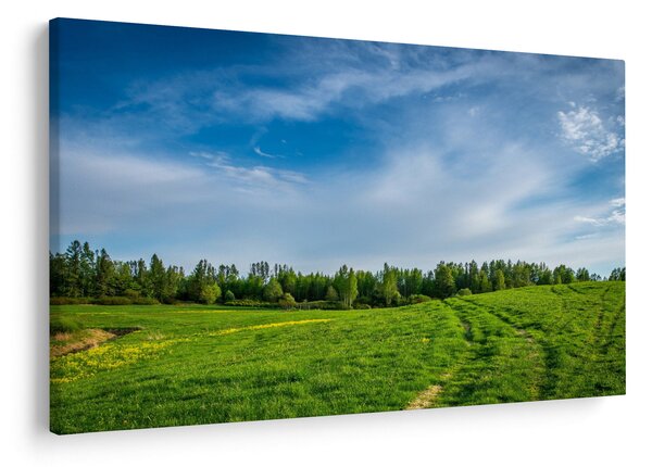 Slika livade (90x60 cm)