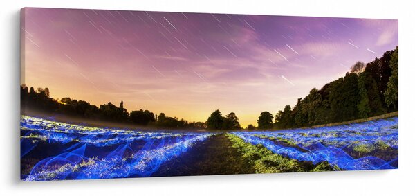 Slika polja u boji (120x50 cm)