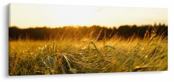 Slika rosne trave (120x50 cm)
