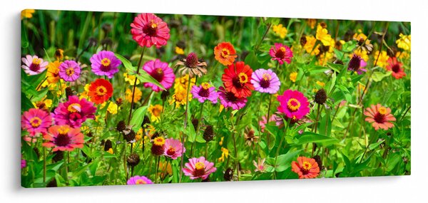 Slika livadskog cvijeća (120x50 cm)