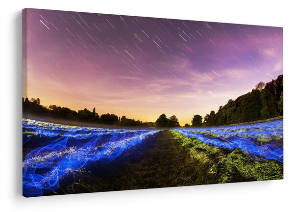 Slika polja u boji (90x60 cm)