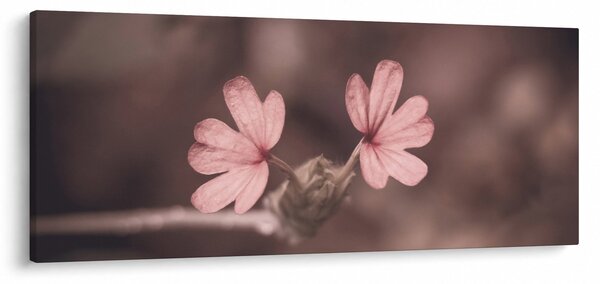 Slika ružičastog cvijeta (120x50 cm)