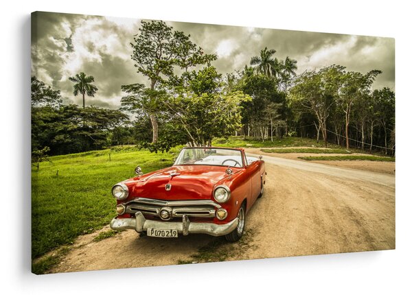 Slika - veteranski automobil u prirodi (90x60 cm)