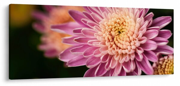 Slika cvijeta izbliza (120x50 cm)