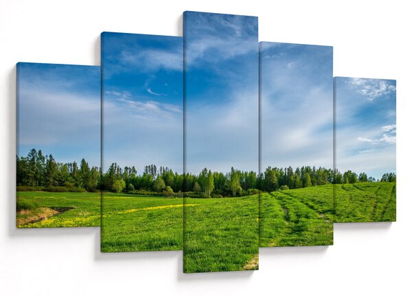 Slika livade (150x105 cm)