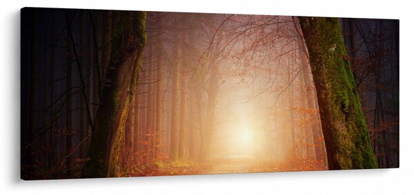 Slika jesenske šume u magli (120x50 cm)