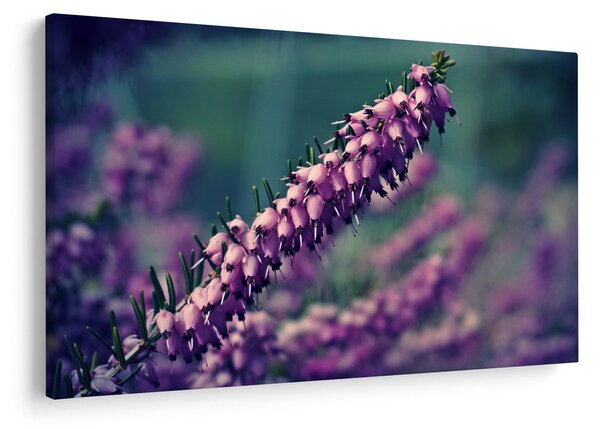 Slika ljubičastog cvijeta (90x60 cm)