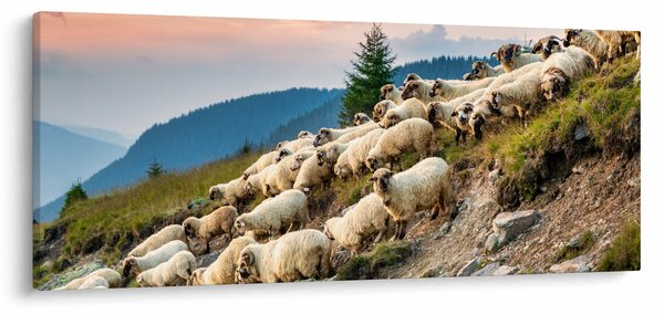 Slika - Stado ovaca (120x50 cm)