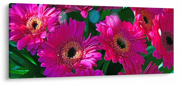 Slika - cvijeće (120x50 cm)