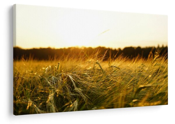 Slika rosne trave (90x60 cm)