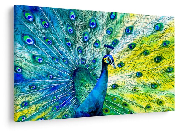 Podoba pava (90x60 cm)