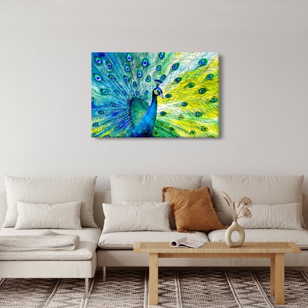 Podoba pava (90x60 cm)