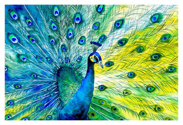 Podoba pava (90x60 cm)