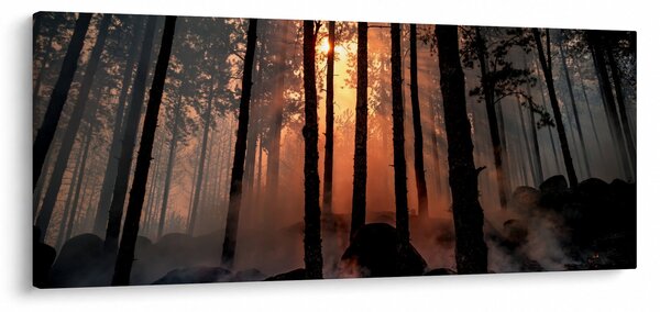 Slika mračne šume (120x50 cm)