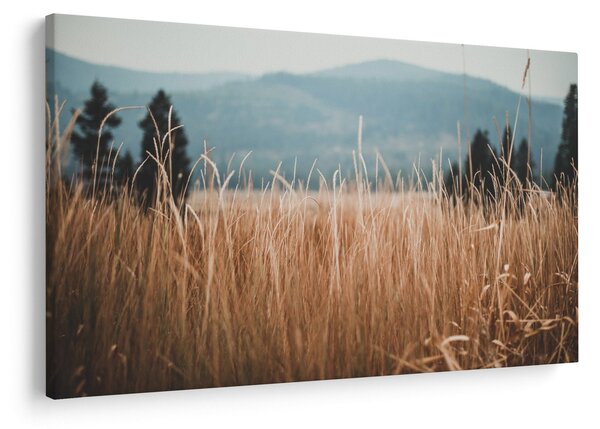 Slika - detalj livadskog bilja (90x60 cm)