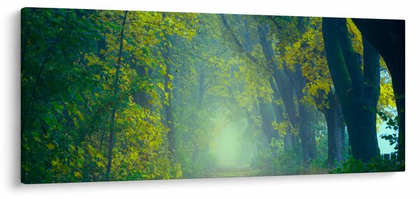 Slika staze obrubljene drvećem (120x50 cm)