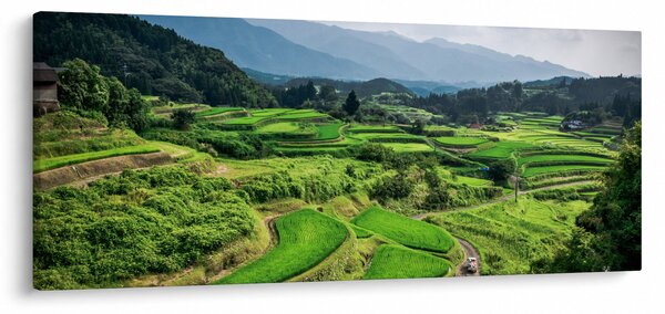 Slika rižinih polja (120x50 cm)